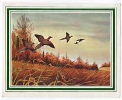 vintage and antique bird prints